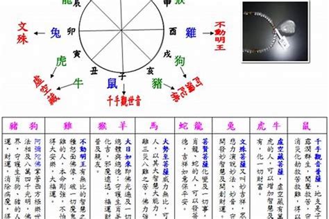 2003年五行属什么|2003年属羊五行属什么 属羊2003杨柳木命详解